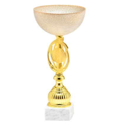 9230/A puchar 28cm - /18/gold 2023
