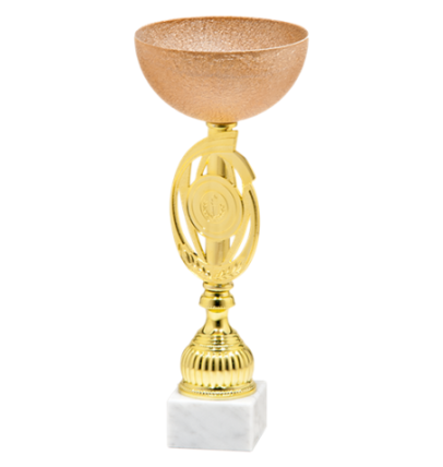 9230/C puchar 25cm - /14/bronze 2023