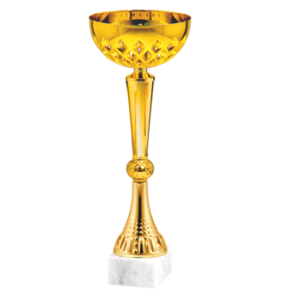 26598/C puchar 26cm /cz.100/