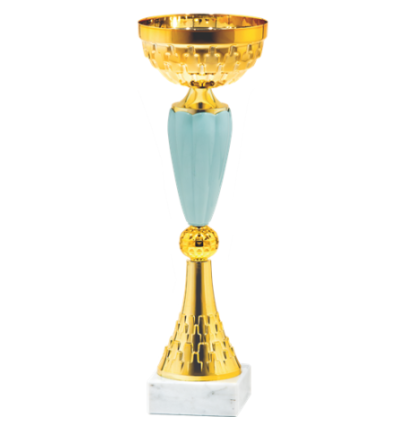 26604/B puchar 30cm /cz.100/