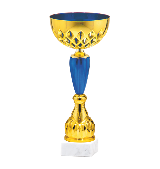 26668/B puchar 31cm /cz.120/