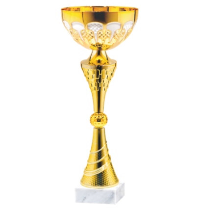 26676/C puchar 31cm /cz.100/