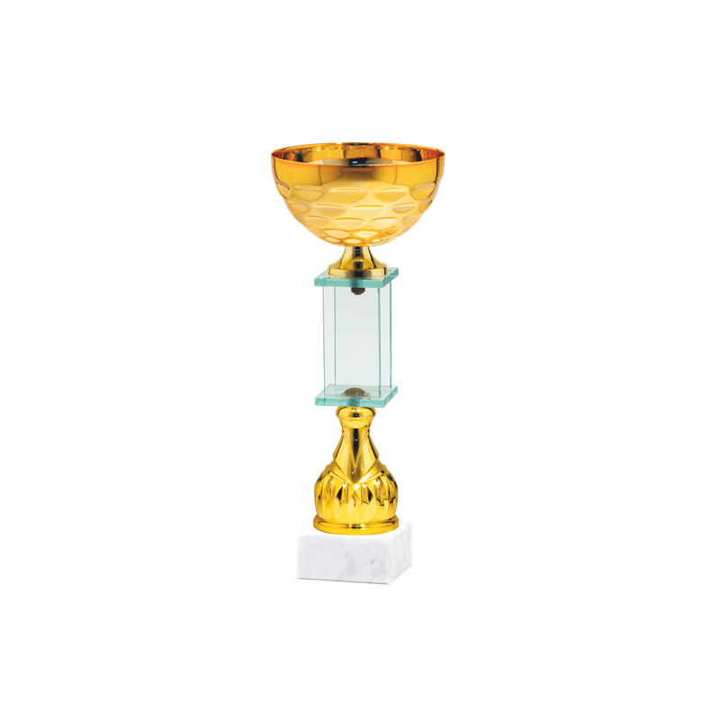 26566/C puchar 29cm /cz.100/