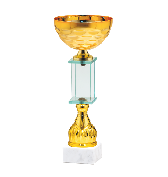26566/C puchar 29cm /cz.100/