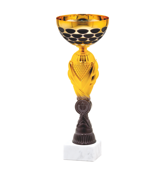26534/C puchar 25cm /cz.80/
