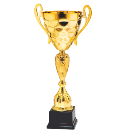 26154/B puchar 53cm /cz.160/