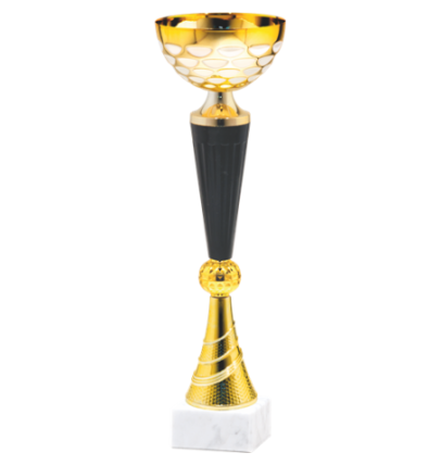 26682/B puchar 31cm /cz.100/