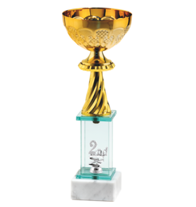 26564/B puchar 27cm /cz.100/