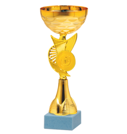 26760/B puchar 25cm /cz.100/