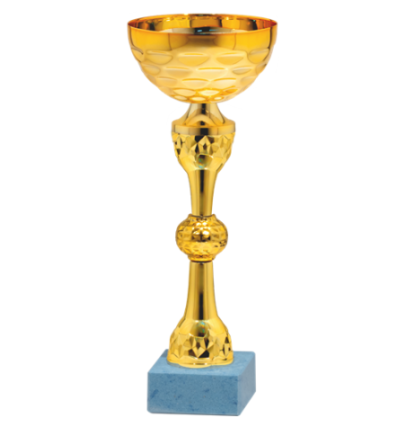 26766/A puchar 25cm /cz.100/