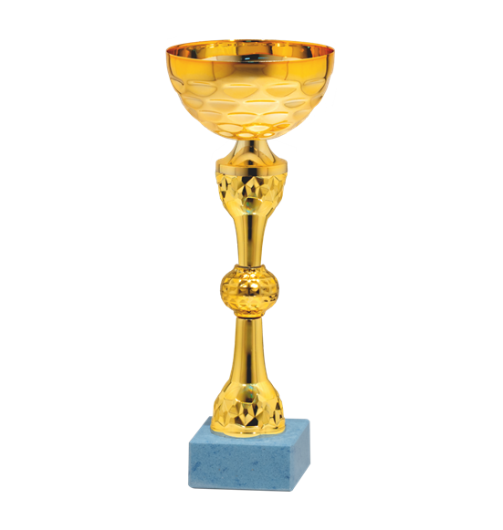 26766/B puchar 24cm /cz.100/