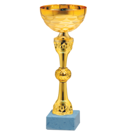 26770/A puchar 26cm /cz.80/