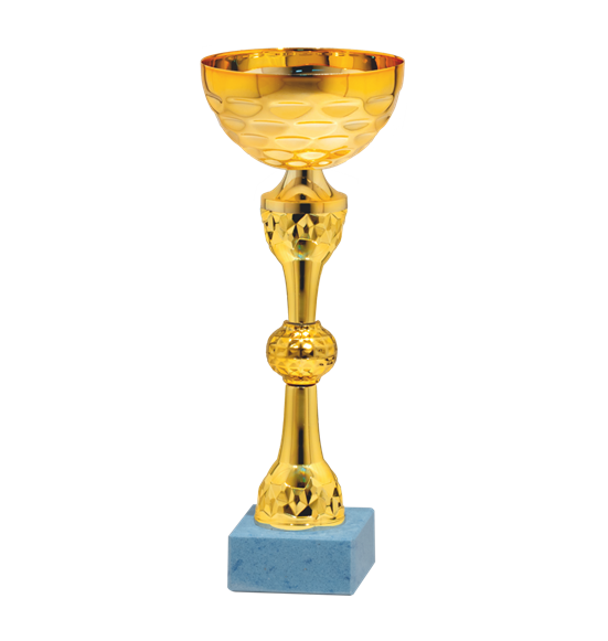 26770/A puchar 26cm /cz.80/