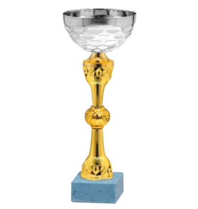 26770/B puchar 26cm /cz.80/