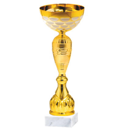 26638/B puchar 33cm /cz.120/