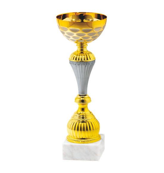 26642/B puchar 32cm /cz.120/