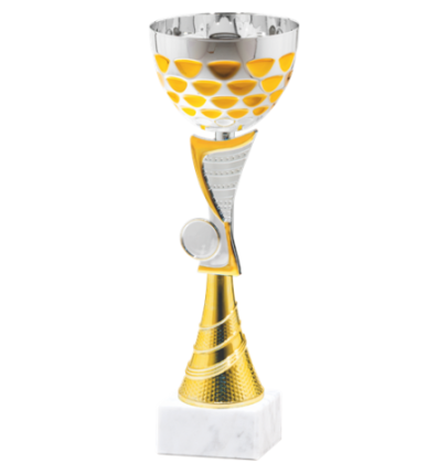 26423/B puchar 25cm /cz.80/