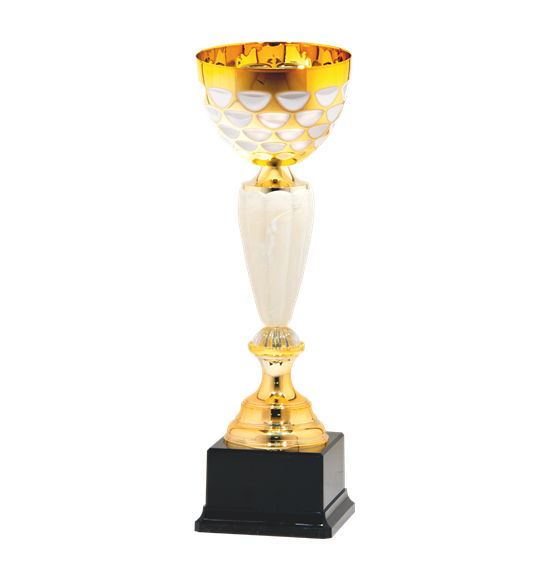 26308/B puchar 36cm /cz.100/