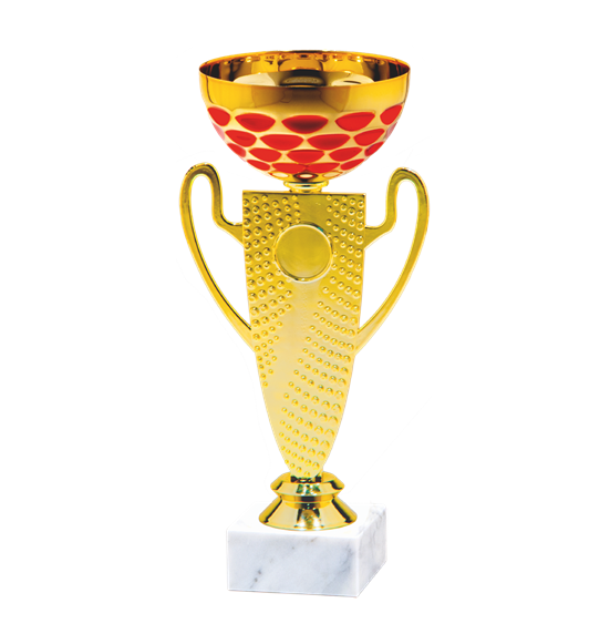 26724/B puchar 24cm /cz.100/