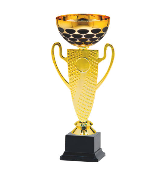 26728/B puchar 26cm /cz.100/