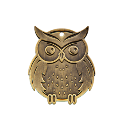 Q11/B - 57x68mm medal brąz sowa