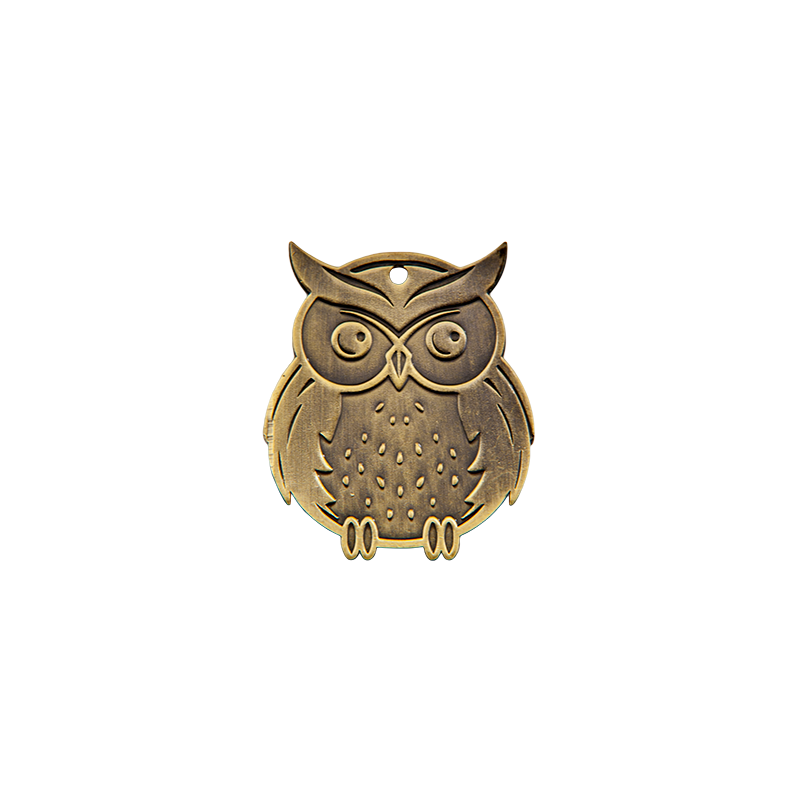 Q11/B - 57x68mm medal brąz sowa