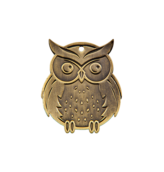 Q11/B - 57x68mm medal brąz sowa