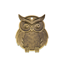 Q11/B - 57x68mm medal brąz sowa
