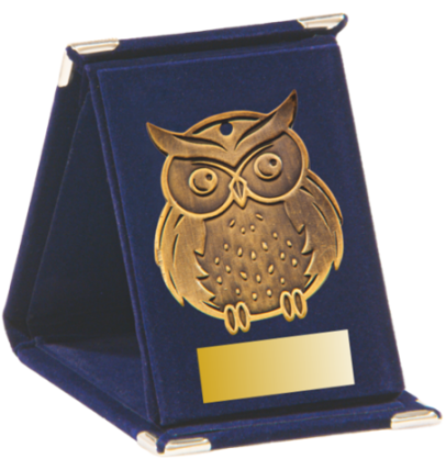 Q11/B - 57x68mm medal brąz sowa