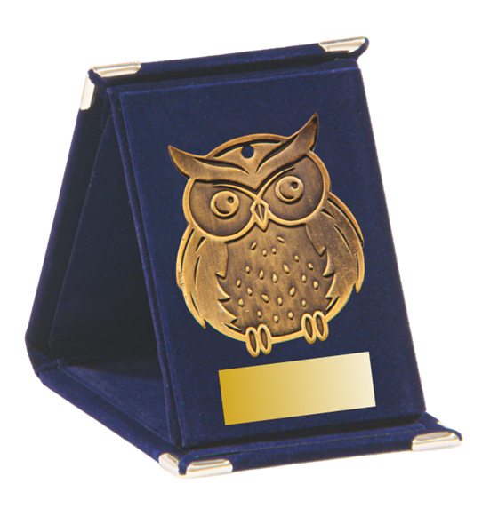 Q11/B - 57x68mm medal brąz sowa