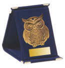 Q11/B - 57x68mm medal brąz sowa