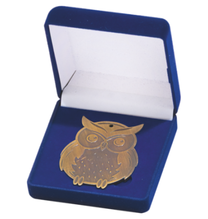 Q11/B - 57x68mm medal brąz sowa