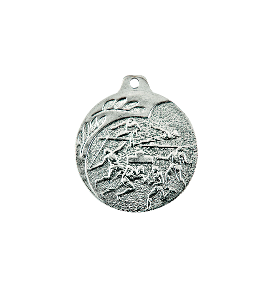 NP02/S medal srebro 40mm - LA
