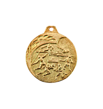 NP02/G medal złoto 40mm - LA
