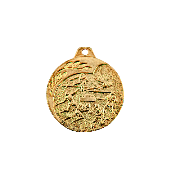 NP02/G medal złoto 40mm - LA