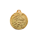NP02/G medal złoto 40mm - LA