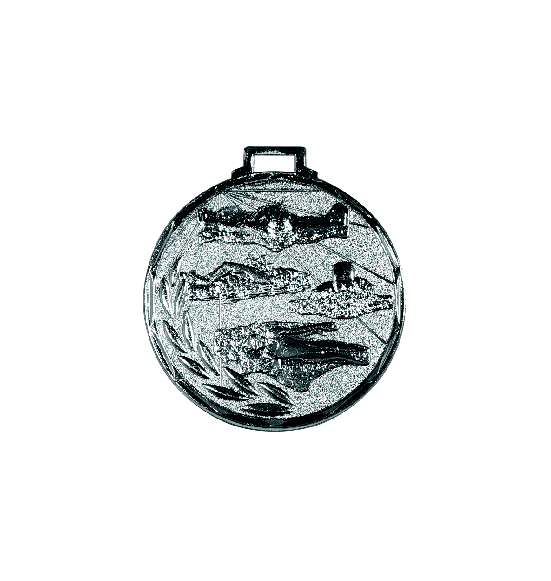 E9 pływanie medal srebro 50mm