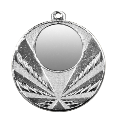 GMM2966 srebro medal 50mm