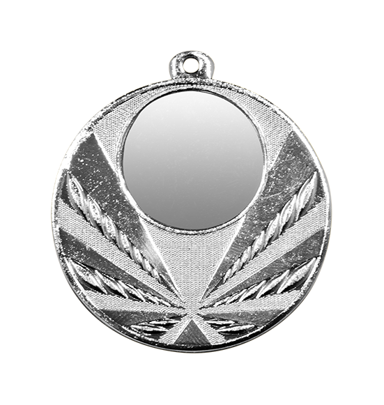GMM2966 srebro medal 50mm