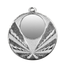 GMM2966 srebro medal 50mm