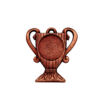 Z208 medal 55x50mm brąz