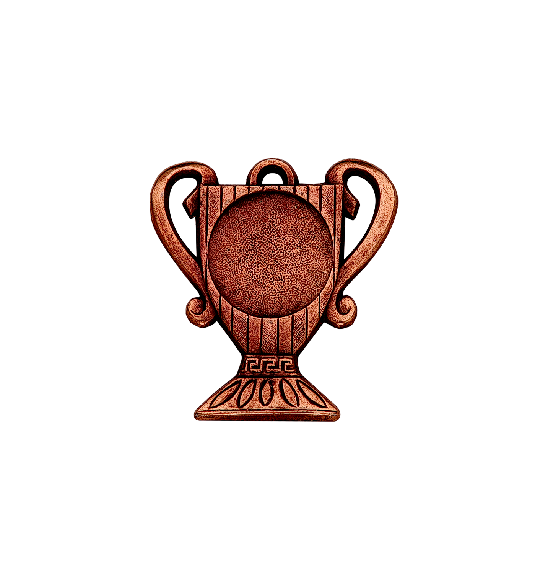 Z208 medal 55x50mm brąz