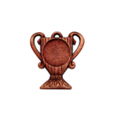 Z208 medal 55x50mm brąz