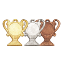 Z208 medal 55x50mm brąz