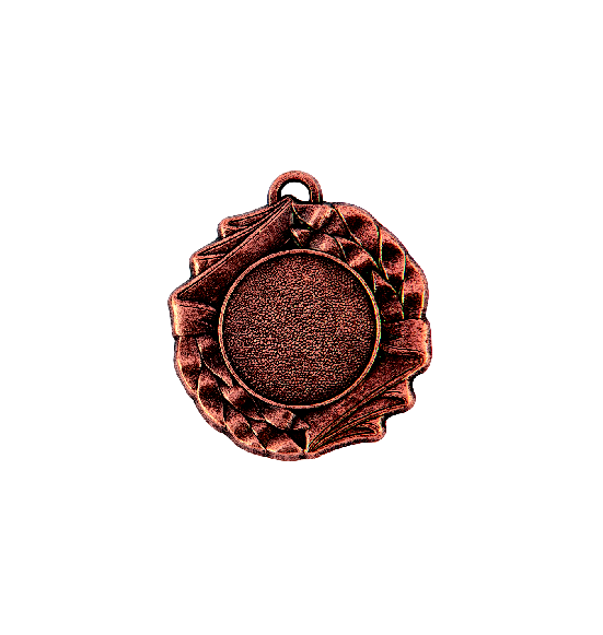 Z242 medal 40mm brąz