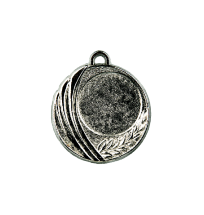 Z244 medal 40mm srebro