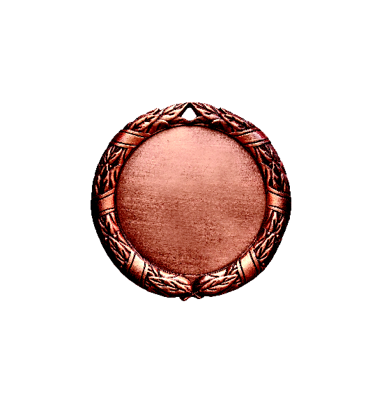 D8D Medal 70mm bronze
