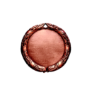 D8D Medal 70mm bronze