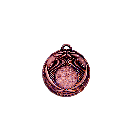 Z386/50mm medal brąz