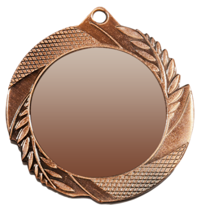 ZB2962 brąz medal 70mm